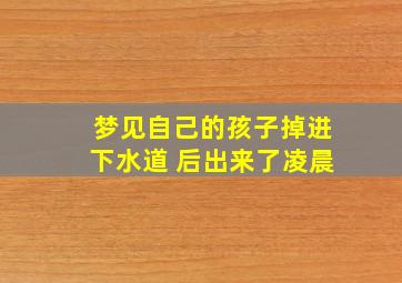 梦见自己的孩子掉进下水道 后出来了凌晨